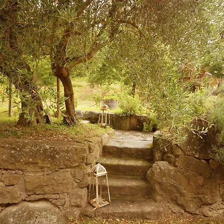 Pieve Di Caminino Historic Farm Podere Caminino